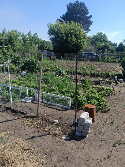 Продам дачу сад Здоровье