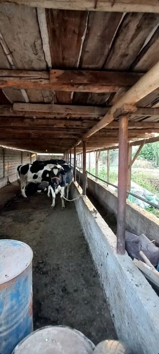 Саид ота дом 4 сот 3 комнаты