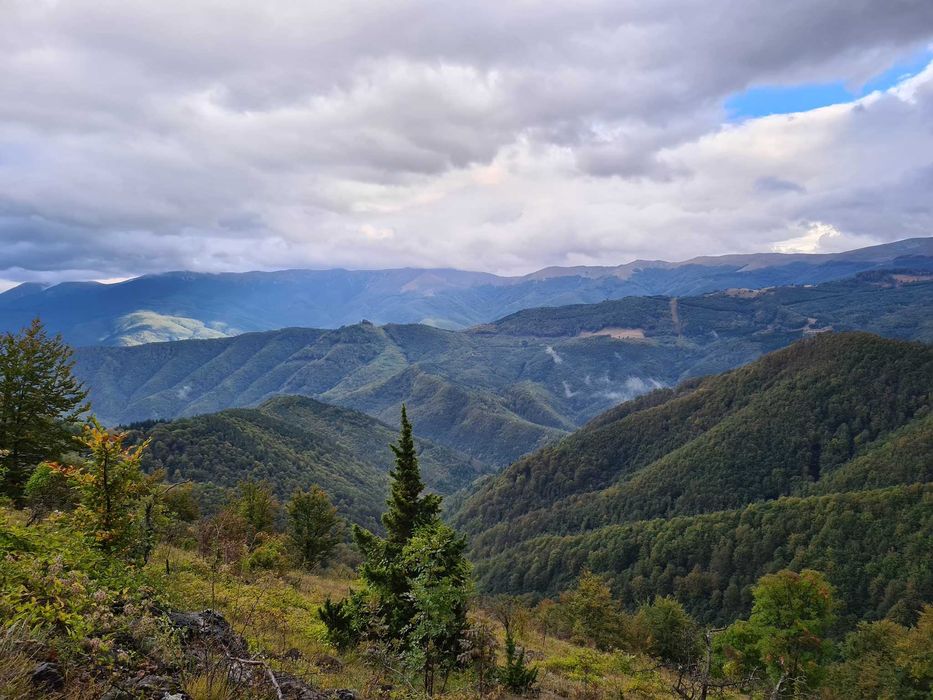 Продава се Къща в София, Бояна - 1600 кв.м за 1125 €/кв.м - Снимка #8