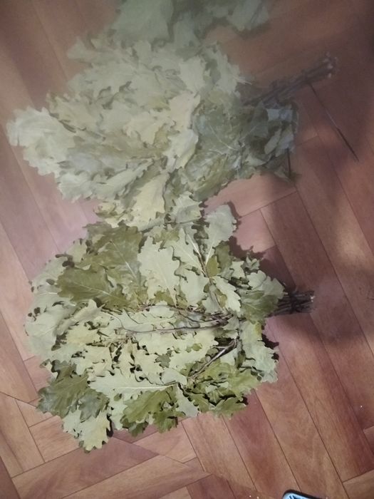 Веники для бани  продам