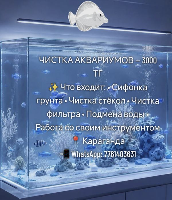 ЧИСТКА АКВАРИУМОВ 
Мне 13 лет, аквариумистикой занимаюсь с 11 ле