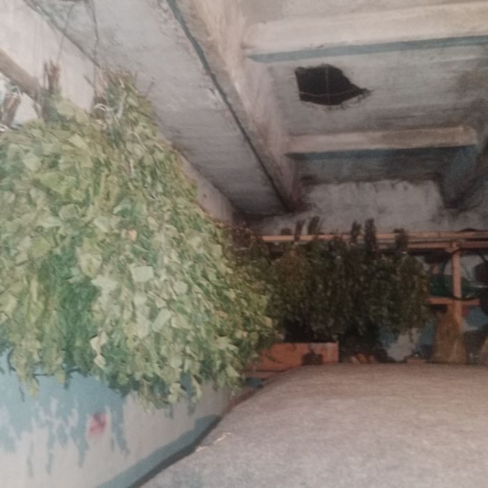 Продам банные веники