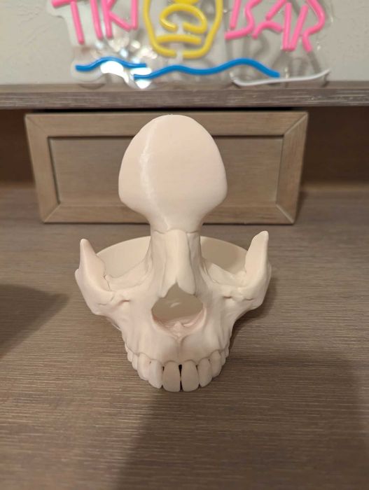 Поставка за очила и ключове – Череп "Skull Bowl" (3D принт)