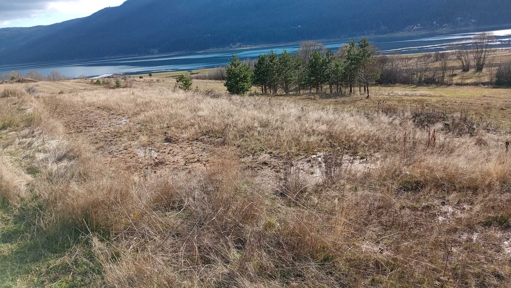 Земеделска земя гр.Сърница Родопите