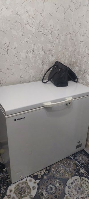 Стол мен морозильник сатылады