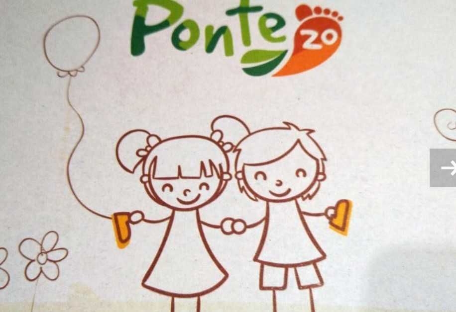 Боти ест.кожа Ponte 26 н.