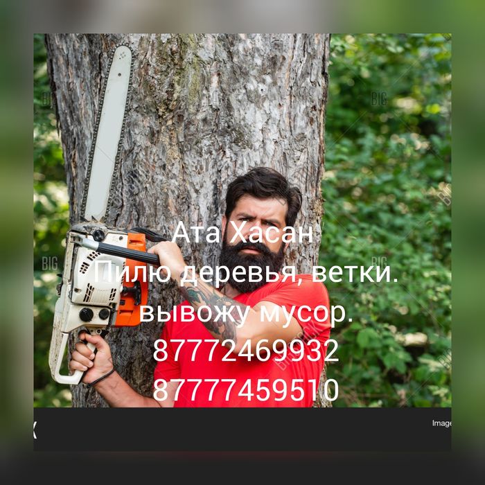 Ата Хасан пилит деревья, ветки, вывоз мусора.