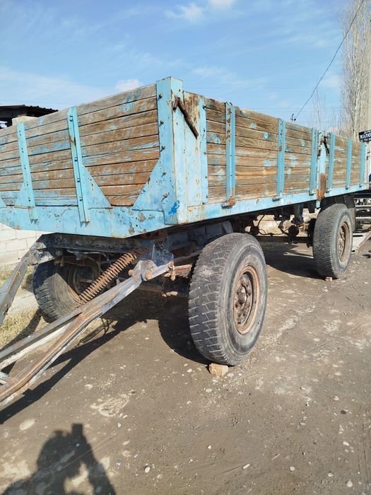 Prsep bartavoy sotiladi.