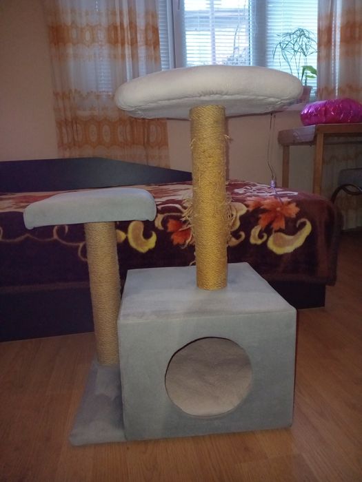 Къщичка за котки