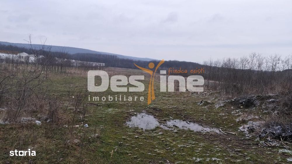 Teren intravilan 7500 mp
