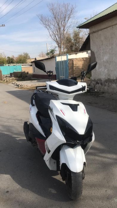 М 10 Звер нахаду