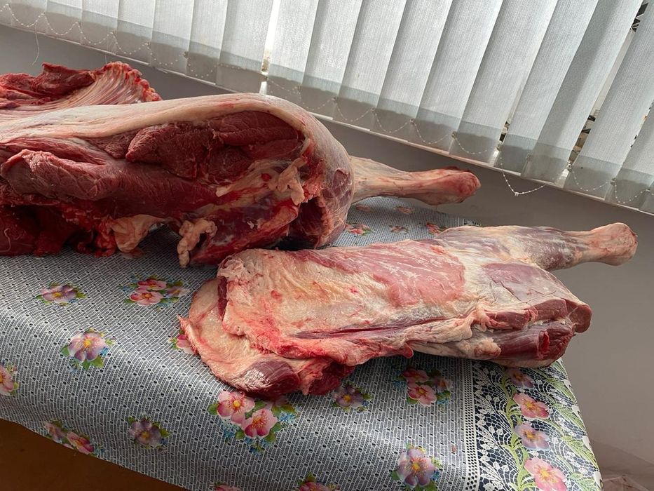 Продам мясо конина.