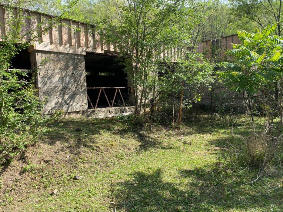 Супер Фазенду продам