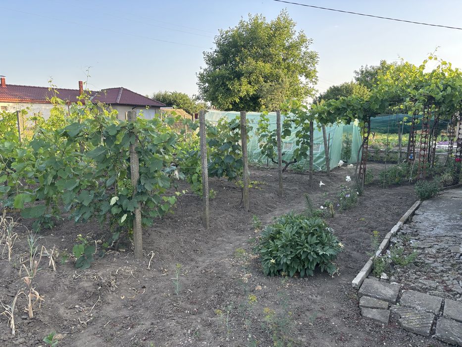 къща в с.Методиево