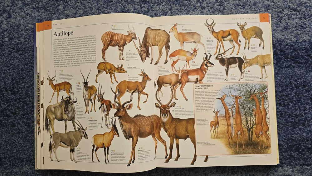 Carte - Enciclopedia animalelor