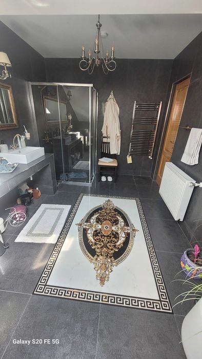 Cazare Pensiune/Vila lux Busteni