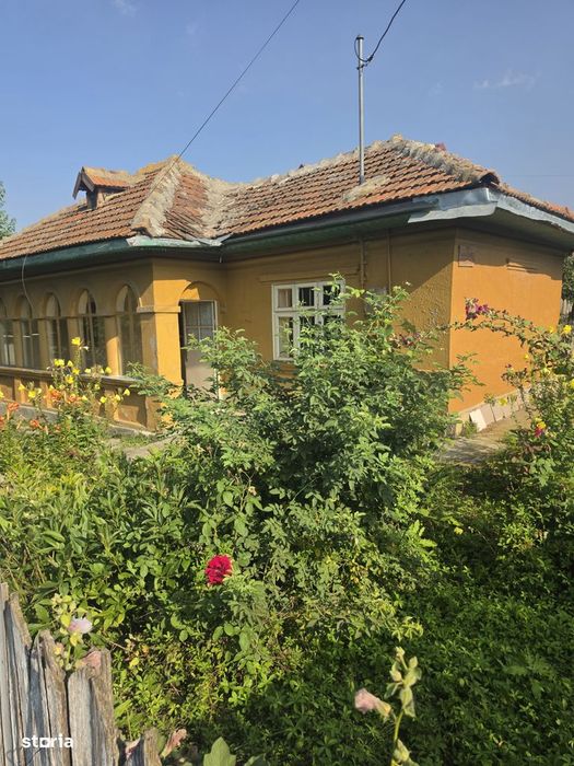 Branesti/Pasarea/Piteasca casa de vanzare deschidere la lac