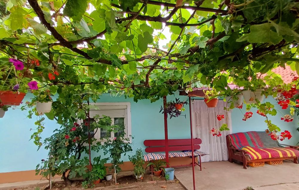 Imobil compus din doua corpuri in Chisineu Cris