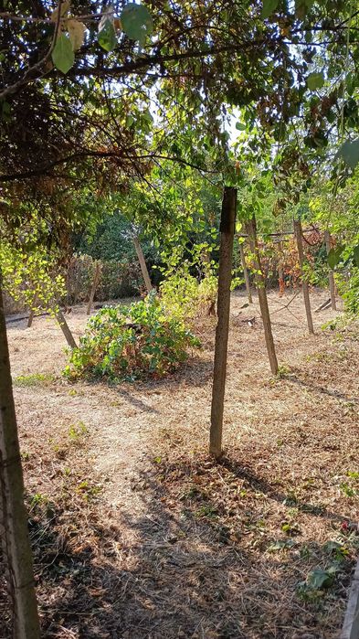 Продава се Къща в Ловеч, Вароша - 45 кв.м за 510 €/кв.м - Снимка #5