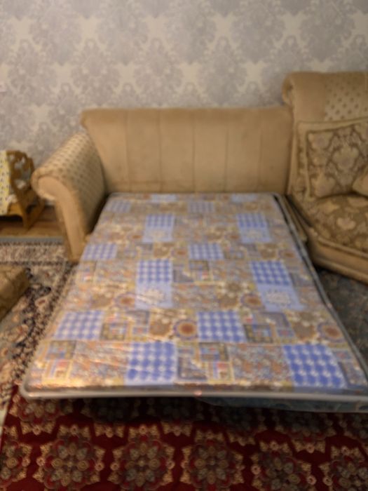 Деван сатылады  450 мын жаксы саудасы бар