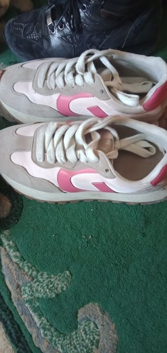 Красовка разные  зима лето