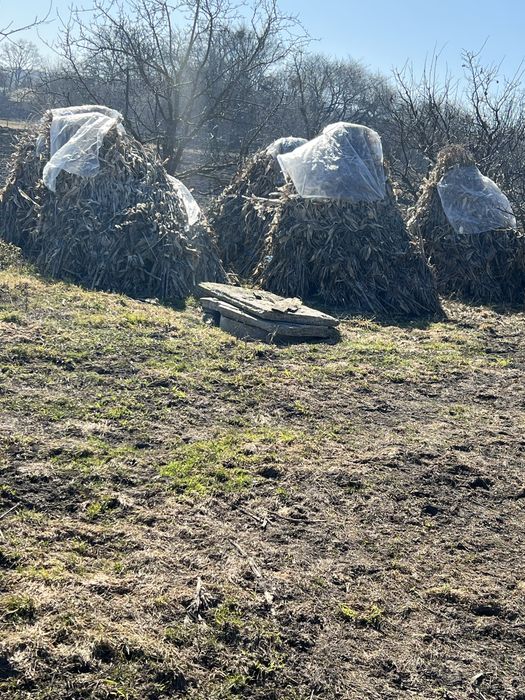 Vand strujeni si baloti de fan