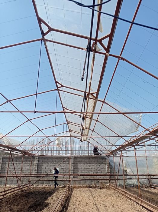 30 соток из них 20 соток теплица в  район Янгийул туман Халкабад