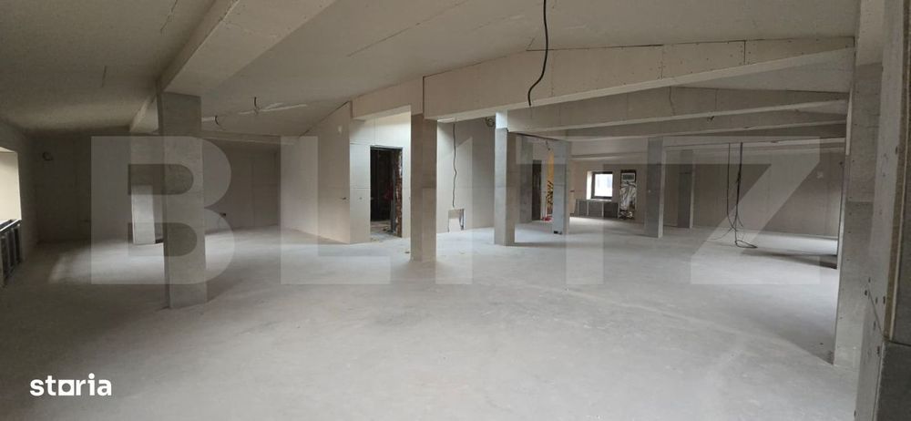 Spatiu comercial tip casa, D+P+M, 440 mp, zona centrala Craiova
