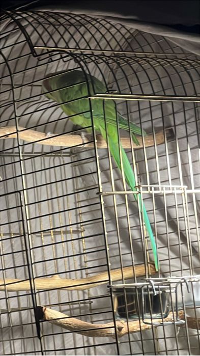 Клетка для попугая