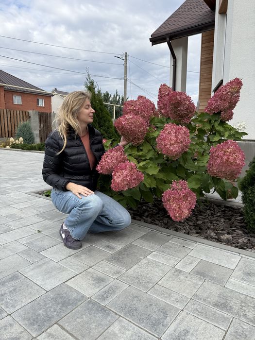 Озеленение Благоустройство