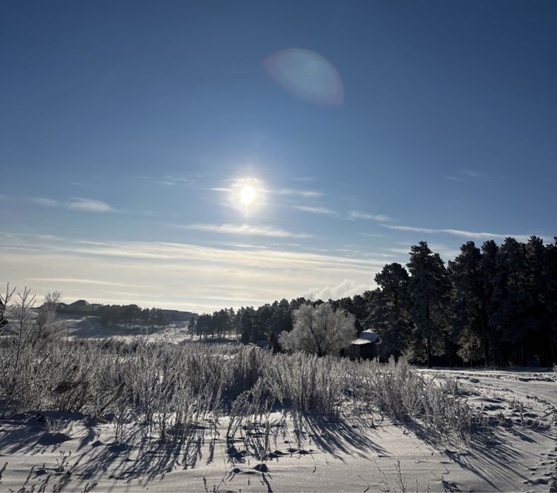 Участок 10 соток