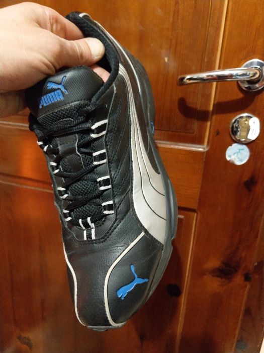 Puma 43нм. 28,0см.