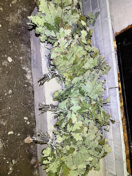 веники для бани..,