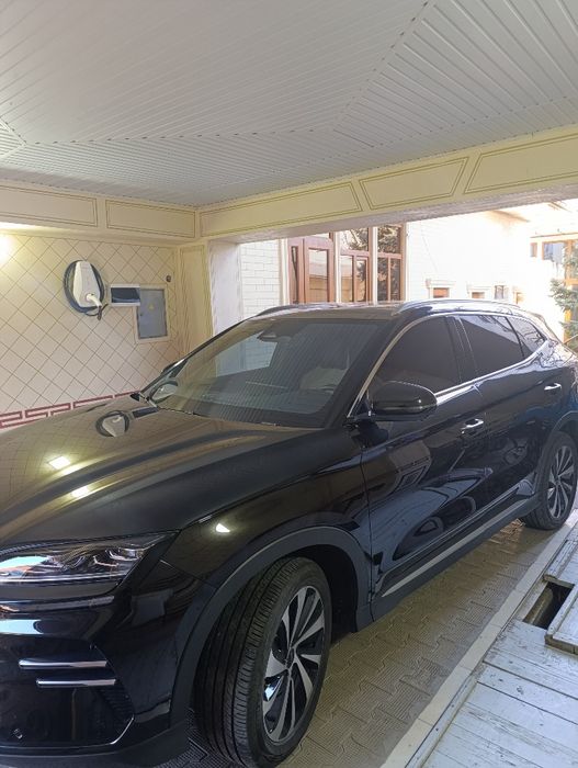 BYD Чемпион вариант на берилади