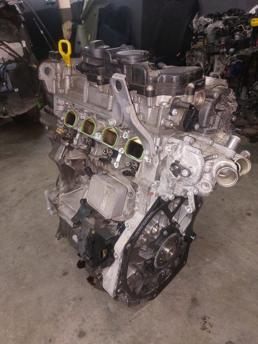 Motor dezechipat Skoda Scala 2020