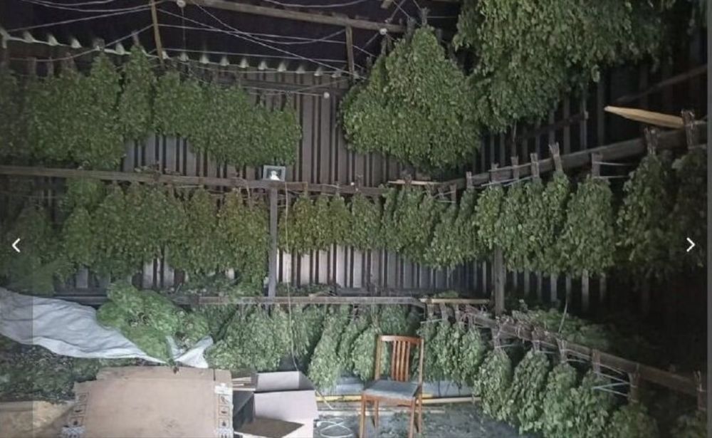 Продам Веник березовый