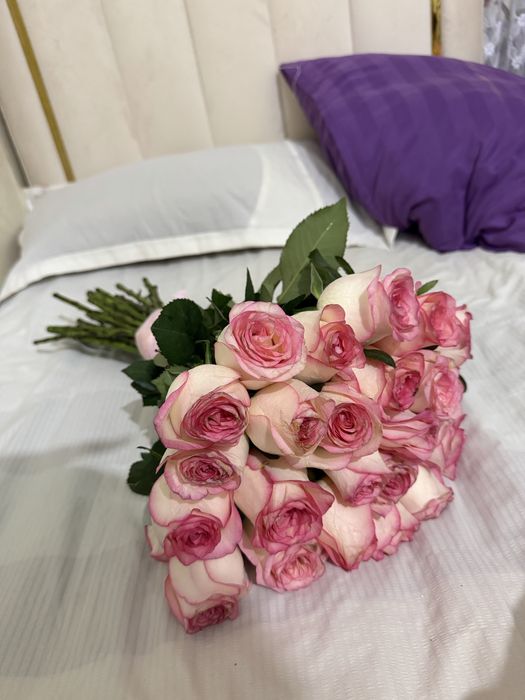 Цветы, роза 25шт