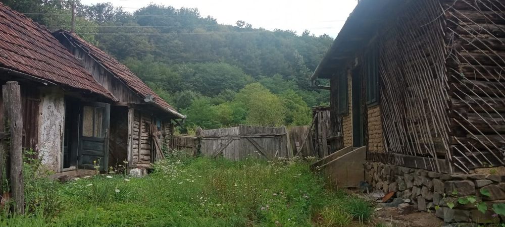 Vând casă cu grădină