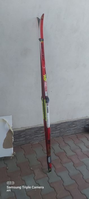 Schiuri din Germania