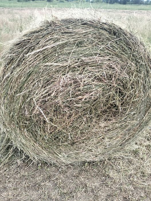 Vind baloți rotunzi
