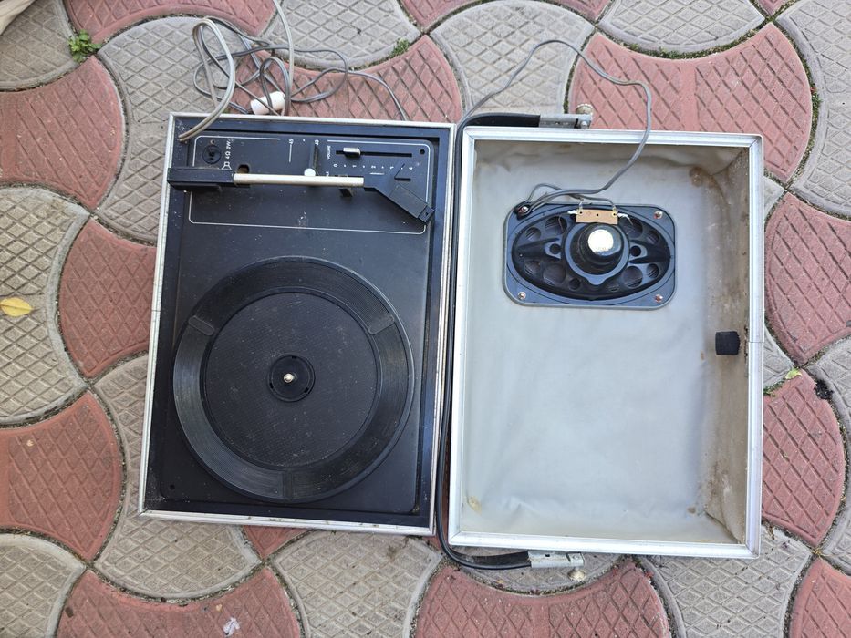 Discuri vinil si pick-up