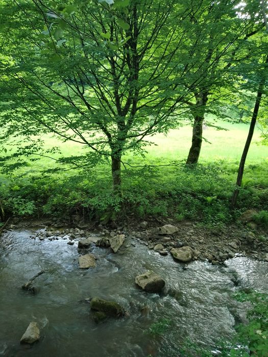 Teren-munte-rau-Bulzestii de Jos-Hunedoara - Mai multe