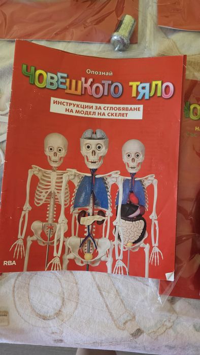 Опознай човешкото тяло