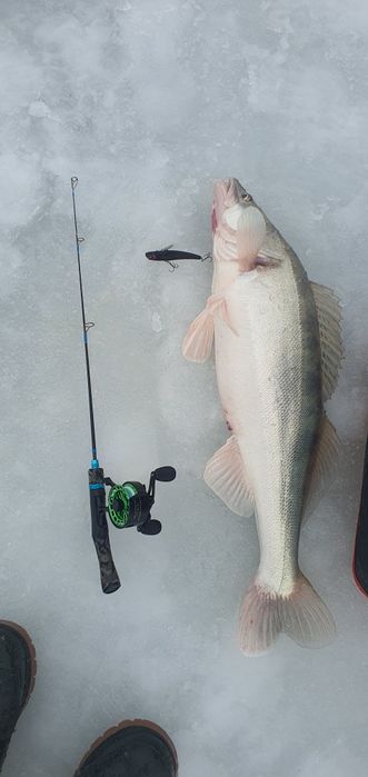 Эхолот Практик 8 PRO WI-FI