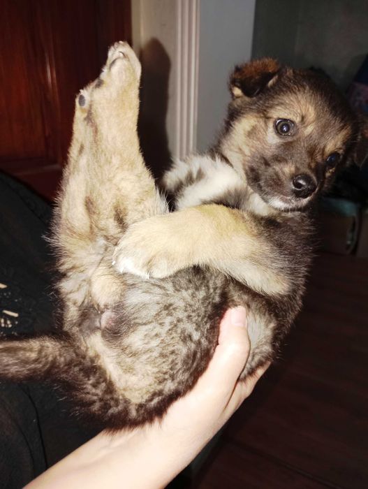 Забери меня, Добрый человек