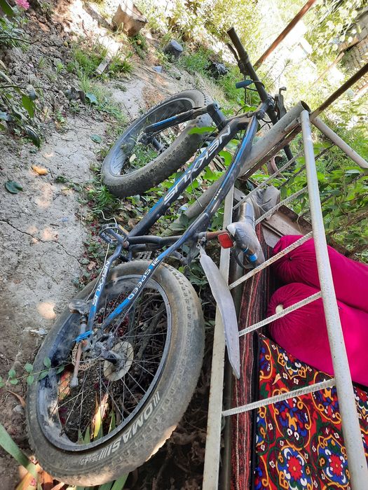 Velosiped shiroki balon