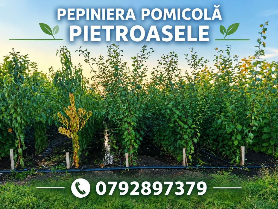 Pomi fructiferi și butași vita de vie