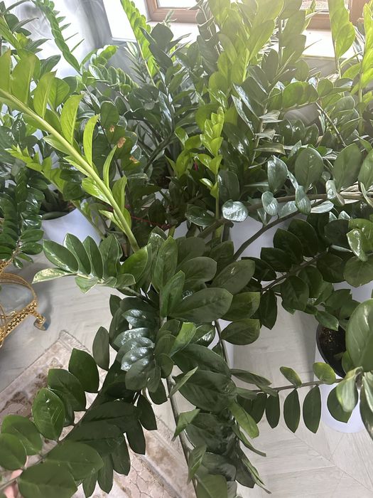 Плей стейшн 3 слим