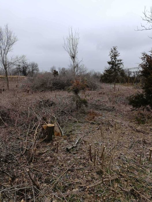 Продава се Парцел в с. Козаревец, Област Велико Търново - 1337 кв.м за 18 €/кв.м - Снимка #1