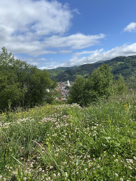 Vand teren Apuseni